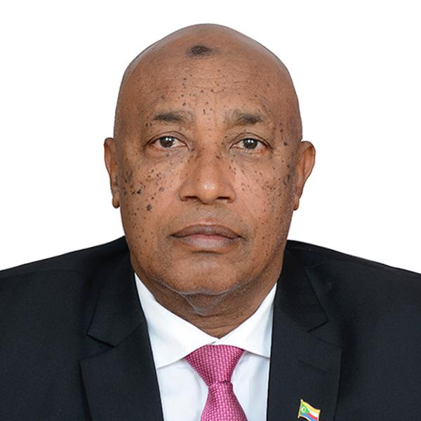 H.E Dr Ahamda El badaoui